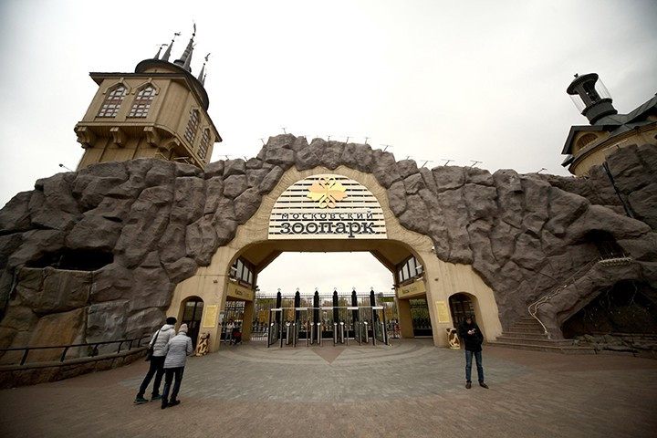 Начиная с апреля Московский зоопарк будет работать на час дольше